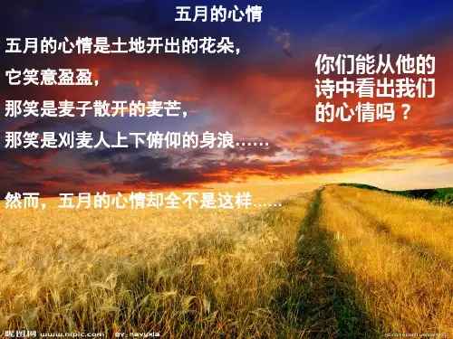 观刈麦.ppt