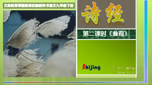4第二课时《蒹葭》