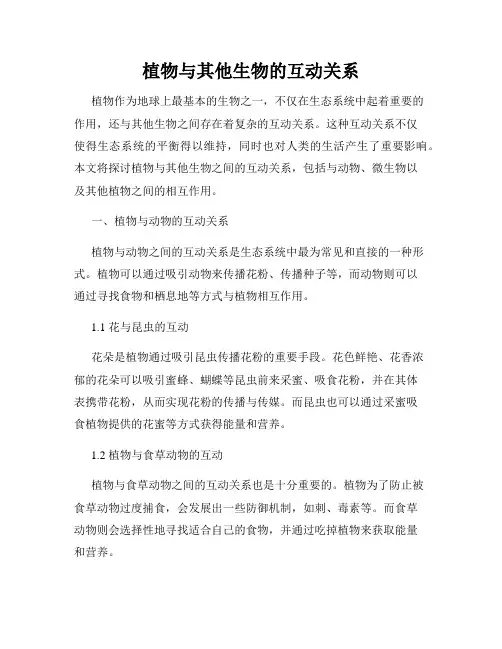 植物与其他生物的互动关系