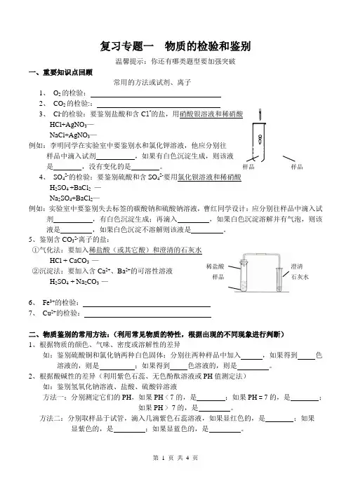 专题一 物质的检验和鉴别(中考化学复习)