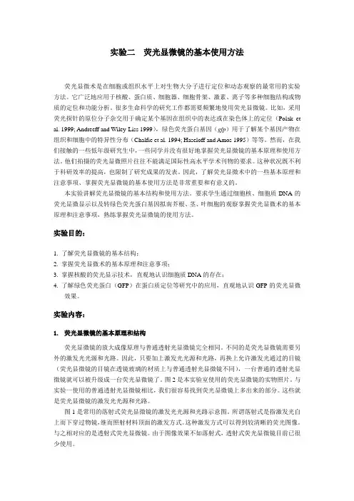 实验二  荧光显微镜的基本使用方法