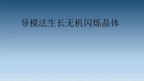 导模法生长无机闪烁晶体