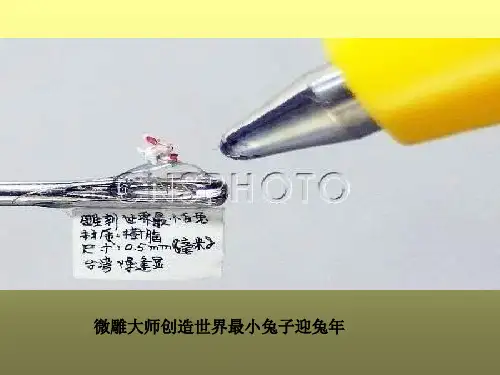 23.核舟记课件