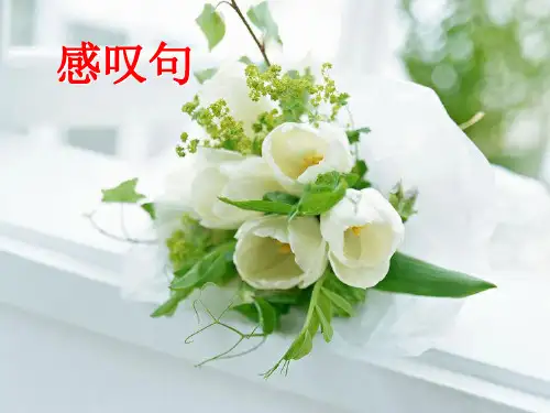 祈使句和感叹句(课堂PPT)
