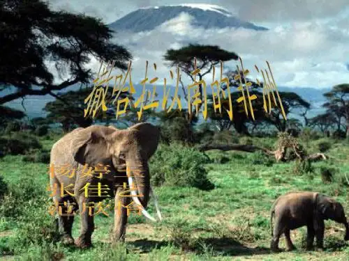 《撒哈拉以南的非洲》PPT课件