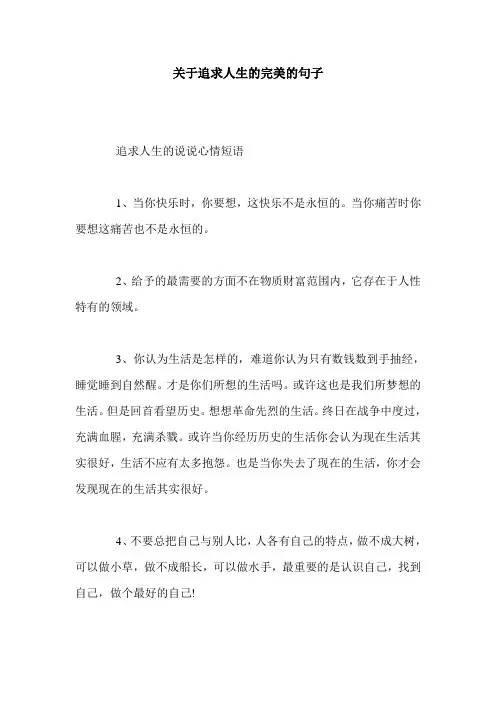 关于追求人生的完美的句子