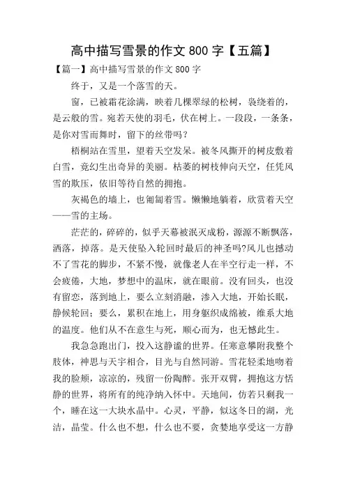 高中描写雪景的作文800字【五篇】