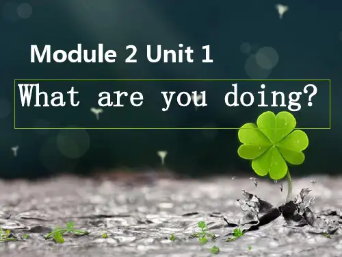 外研版四年级上册Module2Unit2What are you doing