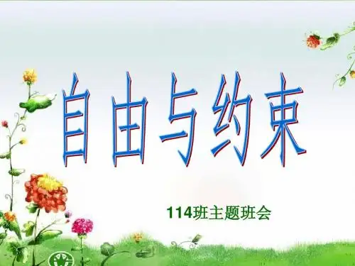 114班自由与约束主题班会改好