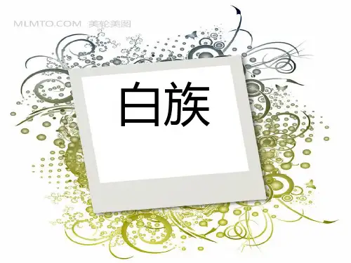 白族 介绍