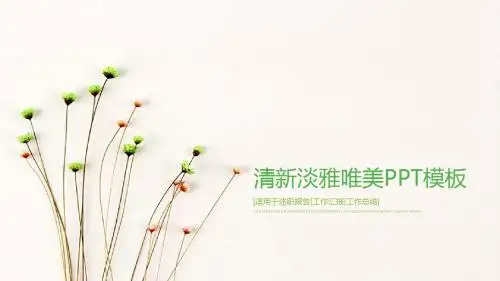 清新淡雅简约唯美PPT模板
