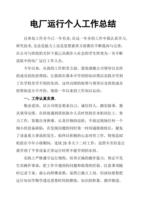 电厂运行个人工作总结
