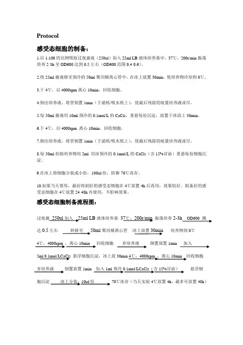 Protocol感受态制作与转化