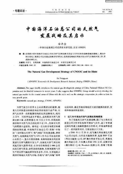 中国海洋石油总公司的天然气发展战略及其启示