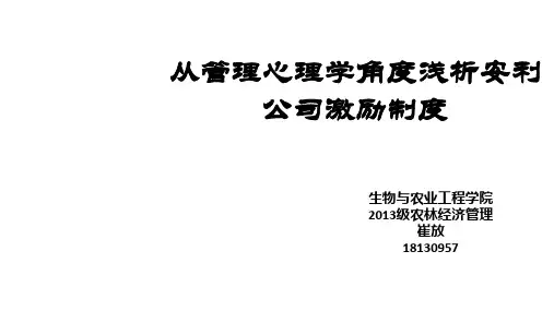 安利公司激励制度PPT