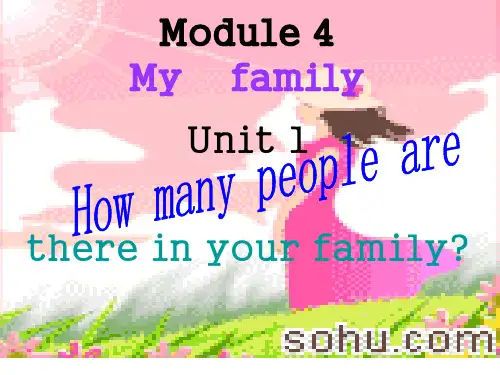 Unit 4 How many people are there in your family