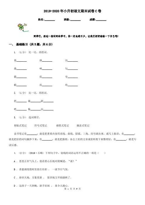 2019-2020年小升初语文期末试卷C卷精编