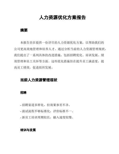 人力资源优化方案报告