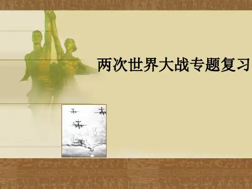 两次世界大战(专题复习)
