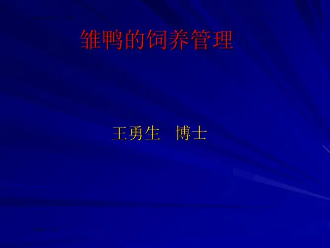 专题15-雏鸭的饲养管理--王勇生