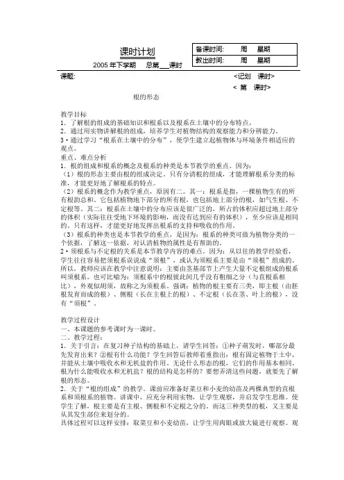 根的形态