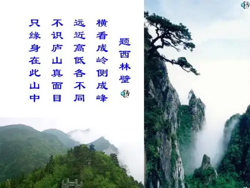 《观察物体》课件1