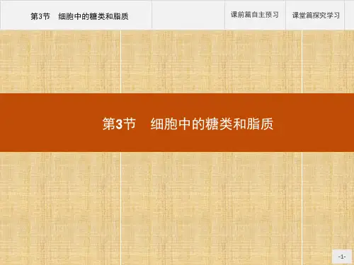 高中生物必修1同步教学课件:第2章 第3节 细胞中的糖类和脂质