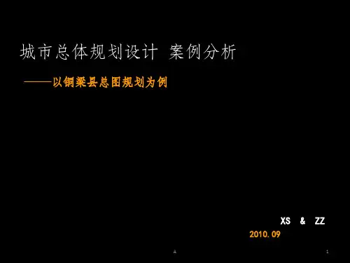 铜梁总规分析