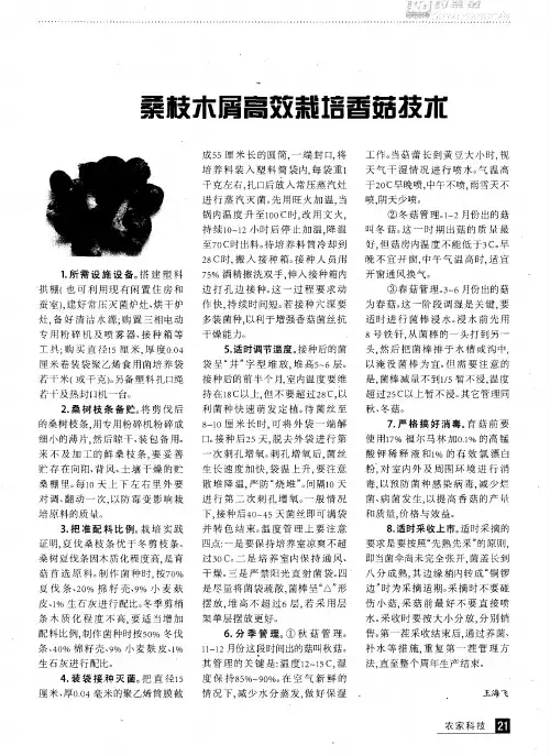 桑枝木屑高效栽培香菇技术