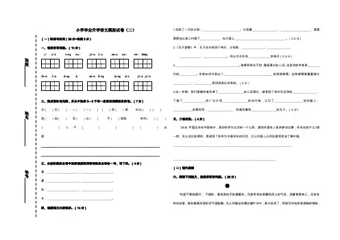 小学毕业升学语文模拟试卷(二)