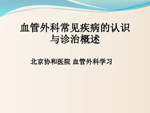 血管外科常见疾病的认识与诊治概述