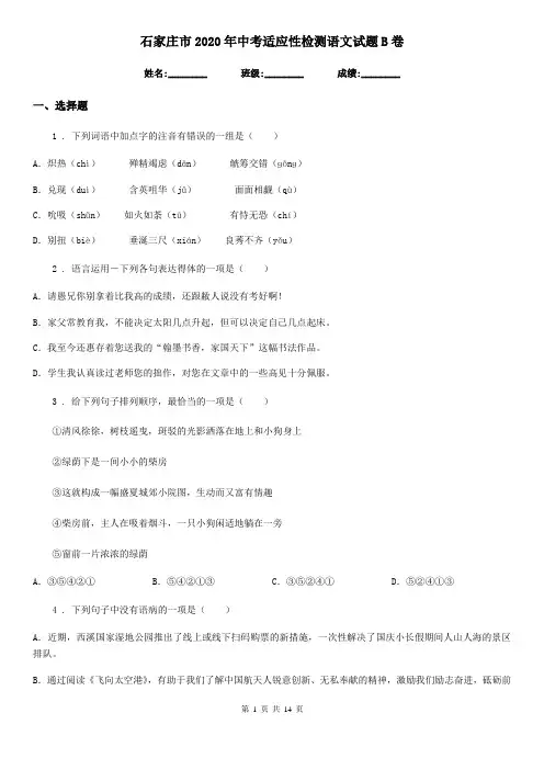 石家庄市2020年中考适应性检测语文试题B卷