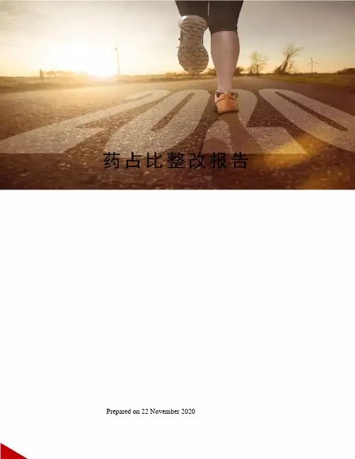 药占比整改报告