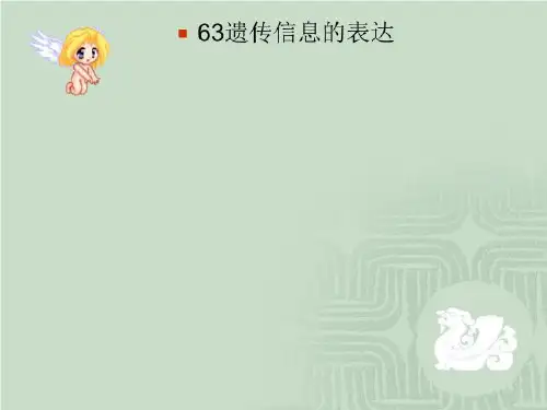 63遗传信息的表达