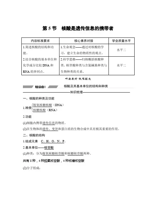 人教版  必修一  核酸是遗传信息的携带者 教案