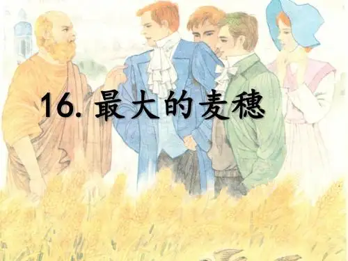 六年级下册语文课件-16 最大的麦穗 -苏教版