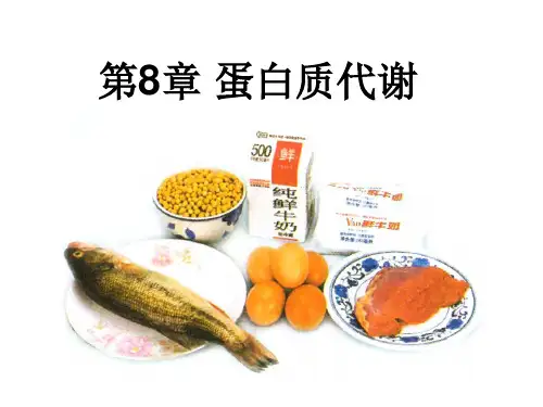 18生化-a蛋白质代谢(分解)总结