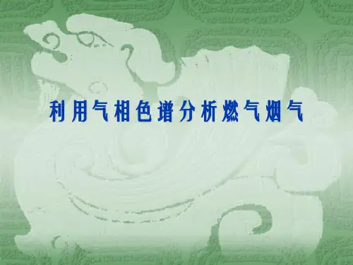 气相色谱分析燃气烟气