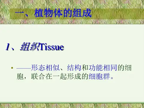 细胞怎样构成人体共24页文档