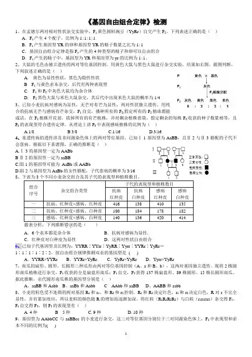 1.2基因自由组合定律     提高练习