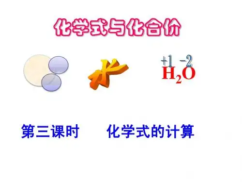 第三课时 化学式的计算