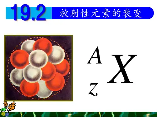 19.2放射性元素的衰变