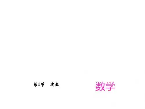 【中考精英总复习】2017中考数学(四川版,课件+检测)-第一章 数与式第1节 实数