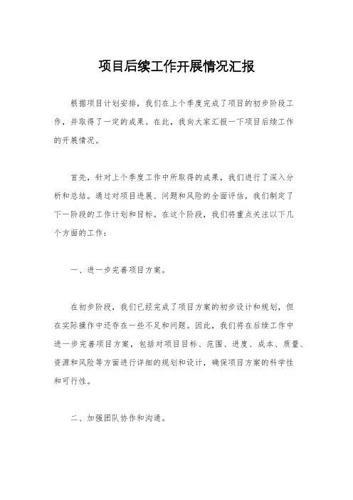 项目后续工作开展情况汇报