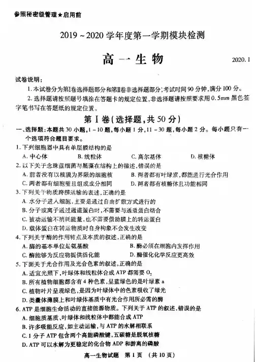 2019-2020学年山东省枣庄市高一上学期期末考试生物试题 PDF版
