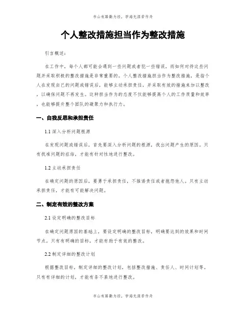 个人整改措施担当作为整改措施 (2)