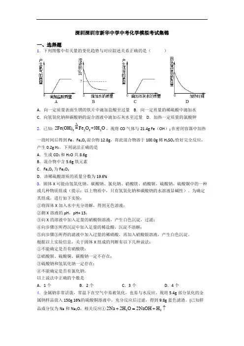 深圳深圳市新华中学中考化学模拟考试集锦