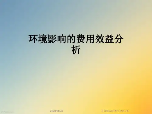 环境影响的费用效益分析