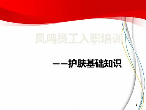 护肤基础知识PPT课件