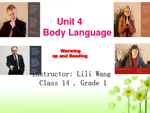 公开课必修bodylanguage课件